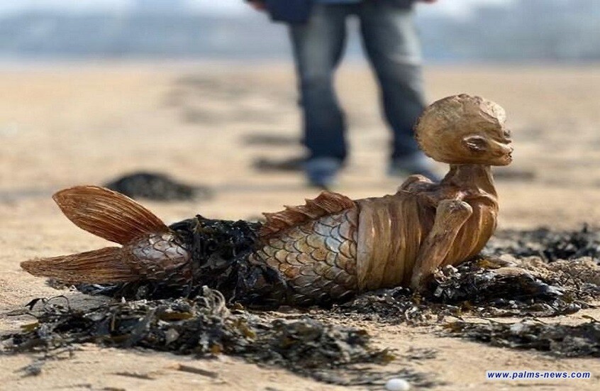 هيكل حورية بحر على الساحل البريطاني يثير دهشة السكان المحليين